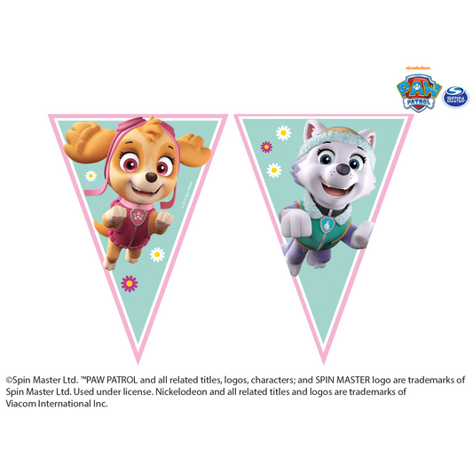 91347 - 1 X  FLAG BANNER PAW PATROL SKYE AND EVEREST